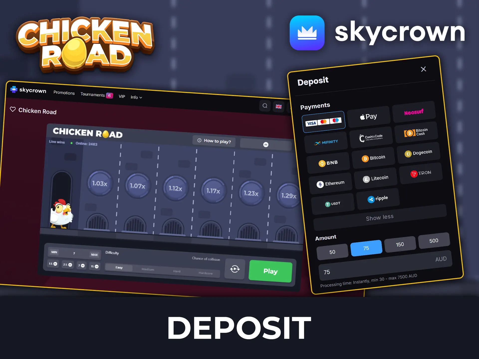 Check out the various ways to fund your SkyCrown account and play Chicken Road.